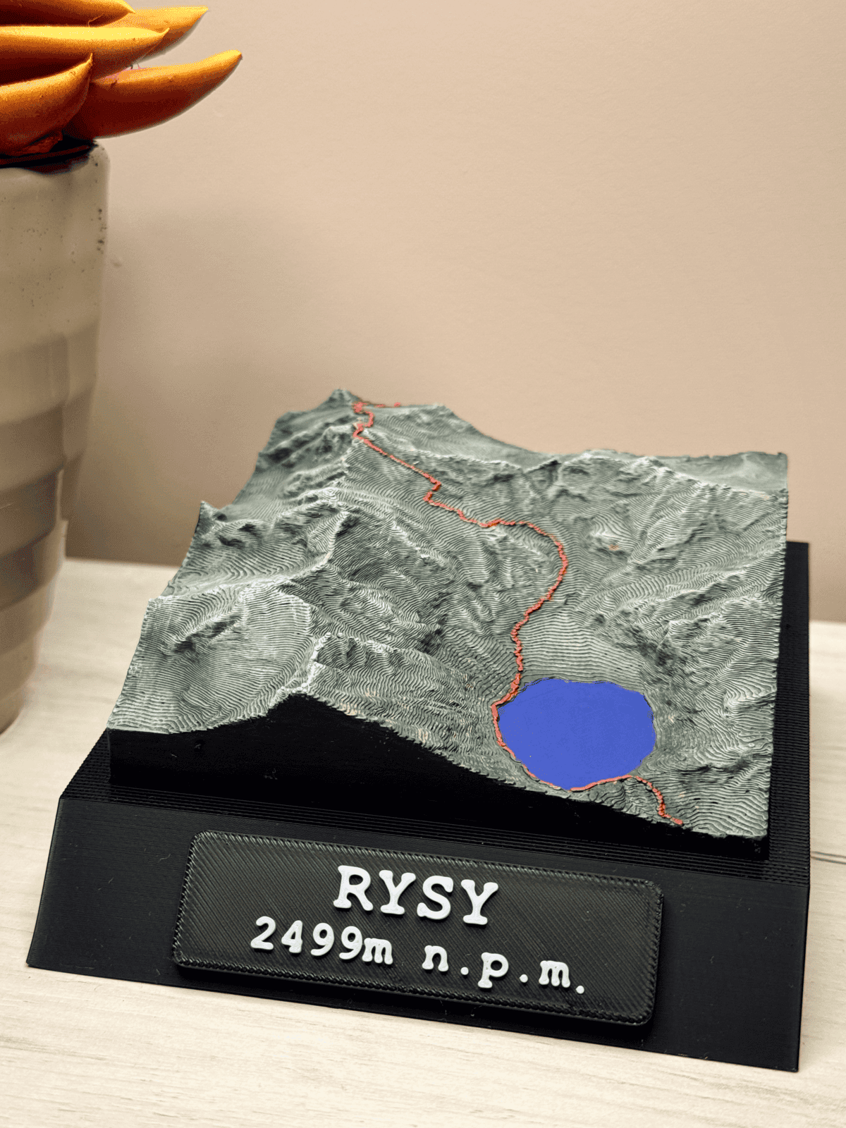 Rysy